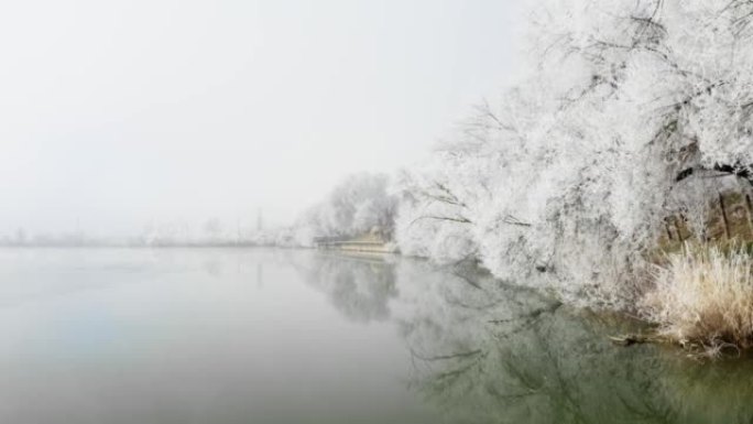 白雪覆盖的长廊沿着白雪覆盖的树木奔向码头