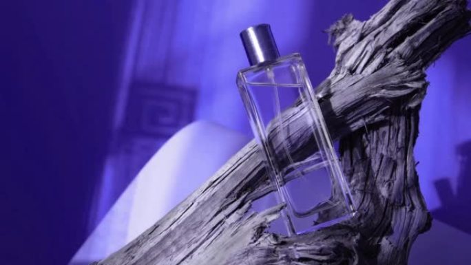 漂流木上的玻璃瓶香水，自然阴影背景，非常透明的颜色2022背景。天然香水气味空陈列柜，用于展示产品和