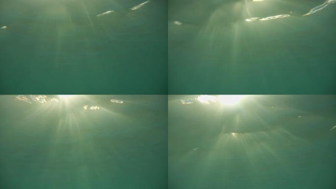从下面看水面。重点关注水中漂浮的沙粒、磷虾和气泡，这些沙粒被太阳光线背光照射。靠近水面和水深的气泡。