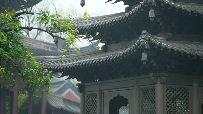 杭州钱王祠春天清明节雨天古建筑自然唯美