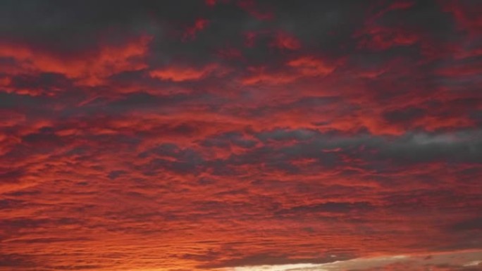 傍晚日落云的4k延时镜头，戏剧性的红云在天空上滚动，最后变成黑暗。