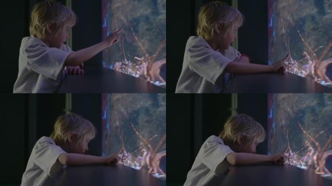 小男孩在水族馆看鱼。儿童探索探索海洋的世界。小学生正在海洋馆游览。