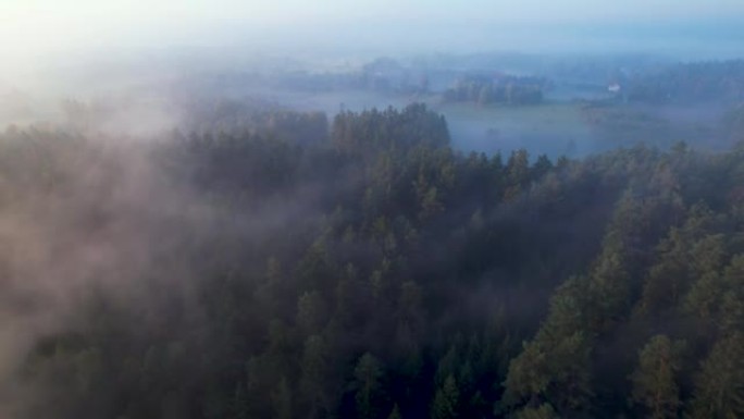 波兰雾蒙蒙的早晨村庄的风景鸟瞰图。令人惊叹的自然景观美妙的早晨日出。史诗般的雾惊人的自然景观。丘陵地
