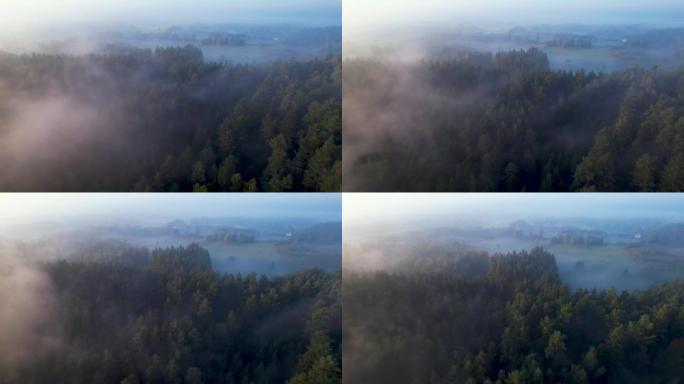 波兰雾蒙蒙的早晨村庄的风景鸟瞰图。令人惊叹的自然景观美妙的早晨日出。史诗般的雾惊人的自然景观。丘陵地