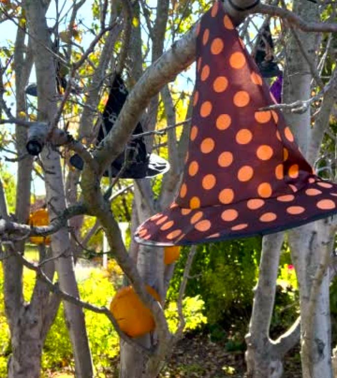 彩色悬挂巫婆帽子设置在秋天的背景下