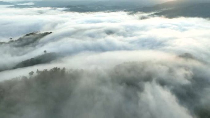 空中无人机拍摄了早晨有大量雾和薄雾的热带雨林，空中无人机观看了观点的日出场景Kunung Seipa