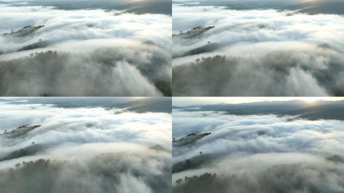 空中无人机拍摄了早晨有大量雾和薄雾的热带雨林，空中无人机观看了观点的日出场景Kunung Seipa