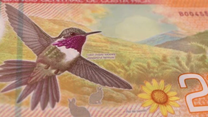 哥斯达黎加哥斯达黎加科隆20000钞票，两万哥斯达黎加科隆，哥斯达黎加科隆的特写和宏观视图，跟踪和多