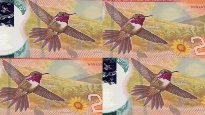 哥斯达黎加哥斯达黎加科隆20000钞票，两万哥斯达黎加科隆，哥斯达黎加科隆的特写和宏观视图，跟踪和多
