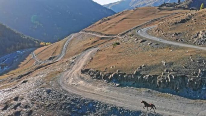 高加索山土路上的马。地理地理