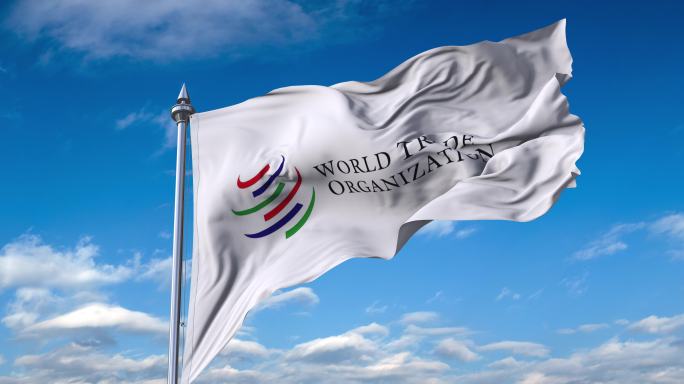 世界贸易组织旗帜