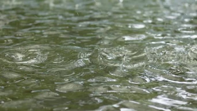 雨滴落在泥泞的水坑上