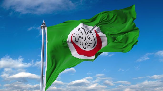 伊斯兰会议组织旗帜