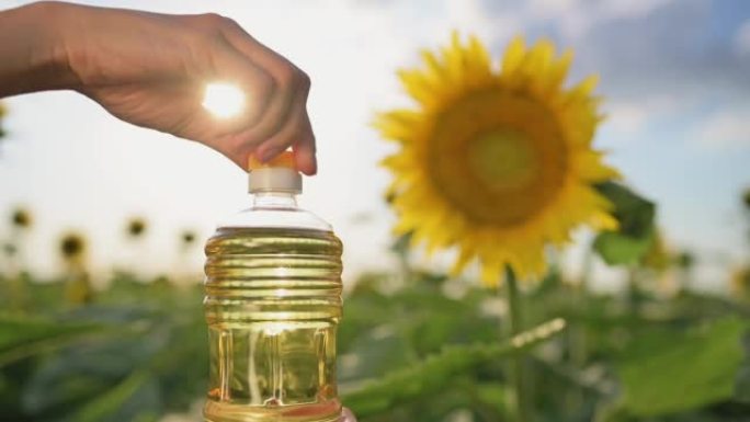 女性的手在日落时分在田野里盛开的向日葵的背景下打开一瓶葵花籽油。种植向日葵作为食用油。农业综合企业、