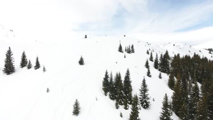在山坡上新鲜的深雪上骑行的自由滑雪者和单板滑雪者的鸟瞰图。极端越野滑雪，免费骑行场景概念