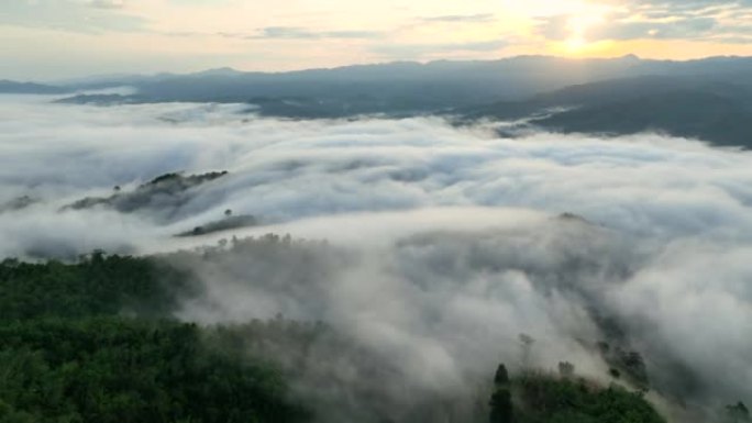 空中无人机拍摄了早晨有大量雾和薄雾的热带雨林，空中无人机观看了观点的日出场景Kunung Seipa