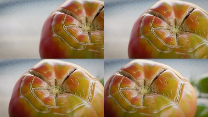 关闭成熟的自家种植番茄的破裂顶部