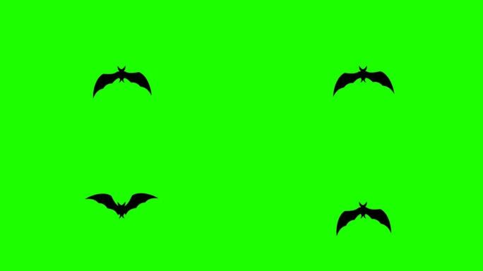 可循环的蝙蝠正在飞行