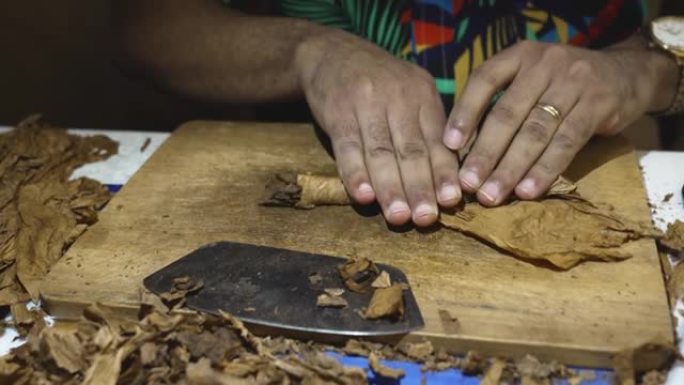 男人的手拧用烟叶制成的雪茄。托尔塞多的工作。