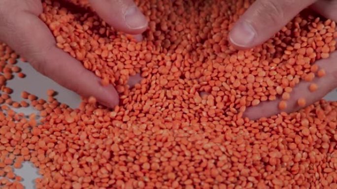 慢动作农民手中的红扁豆。微距拍摄扁豆纹理图案背景。素食健康有机食品饮食。生有机红扁豆颗粒慢动作。素食