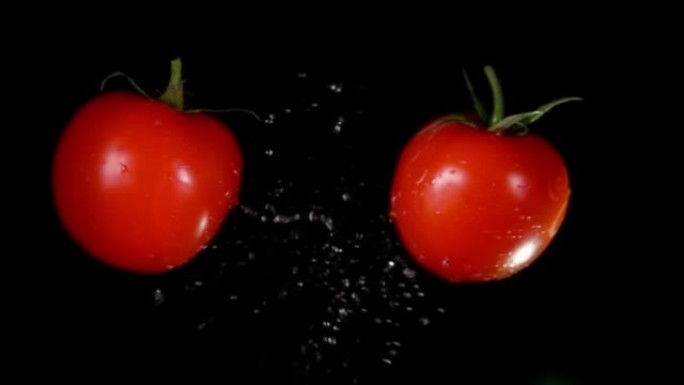 两个红色西红柿的特写镜头在黑色背景上相撞