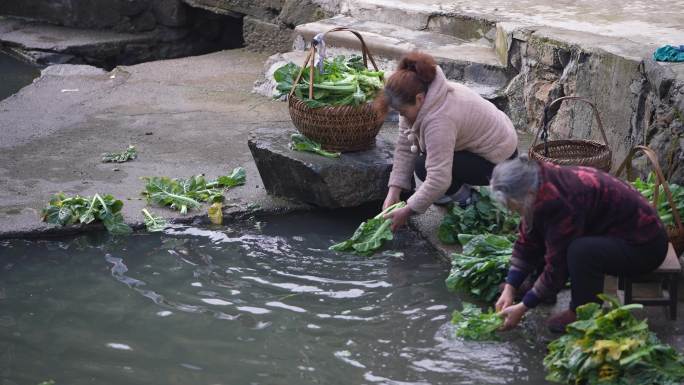 农村农民奶奶妈妈池塘清洗蔬菜实拍原素材