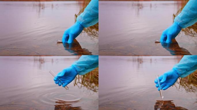 科学家生物学家和研究人员将水样从池塘带入试管，无法识别的生态学家，生物学家检查河流中的氧气水平