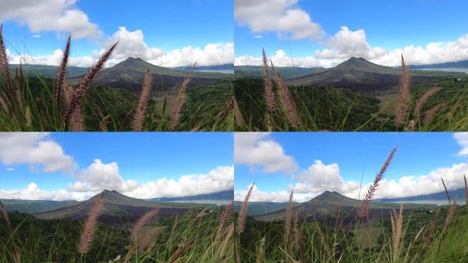 多风的巴厘岛景观。在背景中，海洋，山脉，多云的天空和绿色的田野，有耳的小麦。在远处，定居的人明显更多