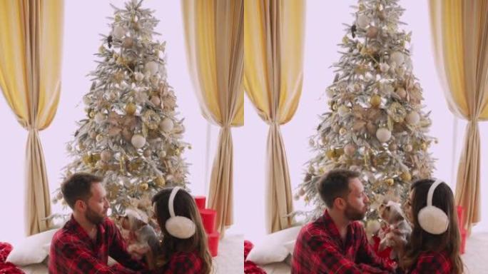 一对带着狗的幸福夫妇坐在圣诞树旁