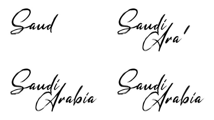 沙特阿拉伯文字素描写作视频动画4K