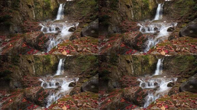 秋天森林的瀑布，原汁原味的水声