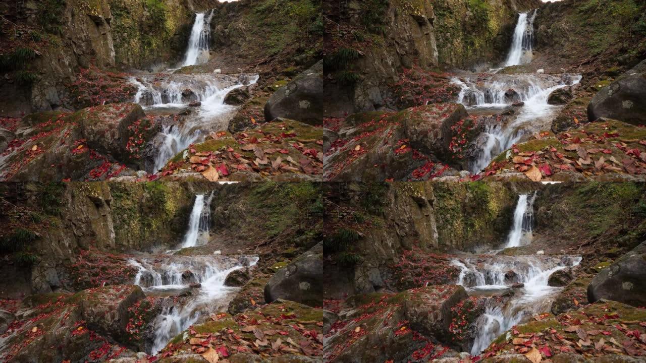 秋天森林的瀑布，原汁原味的水声