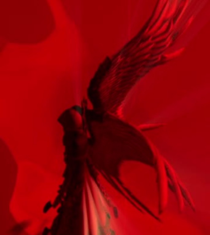 垂直视频-手中剑的死亡天使动画