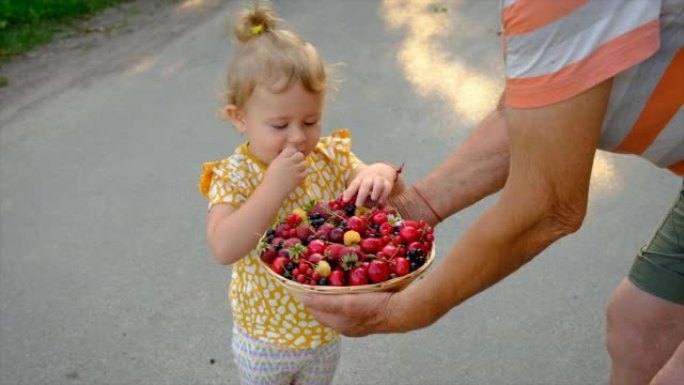 一个孩子和一个祖母在花园里吃浆果。选择性聚焦。孩子。