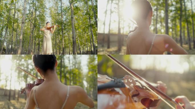 美女秋天树林弹奏小提琴唯美写意