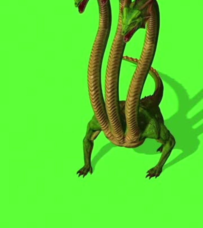 垂直视频-绿屏背景上的九头蛇神秘水蛇咆哮