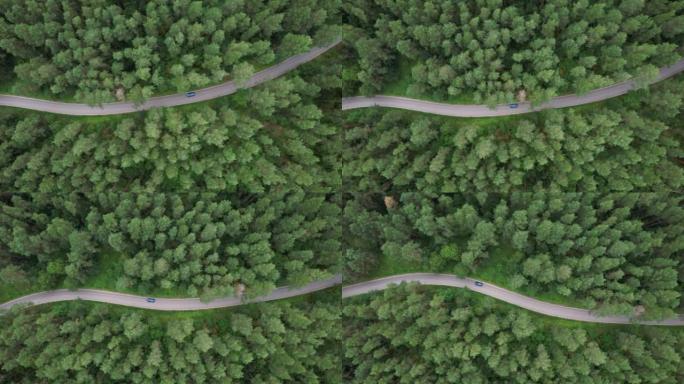 在夏日，鸟瞰图蓝色汽车沿着柏油路行驶，穿过广阔的森林。松树森林中汽车行驶的航拍。穿越森林的公路旅行。