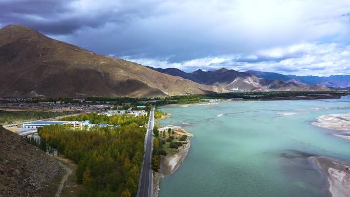 大自然生态美景 森林树林美景 霜降 寒霜