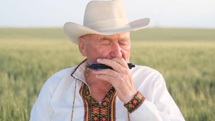 一个乌克兰农民独自在麦田里演奏口琴。与自然和谐