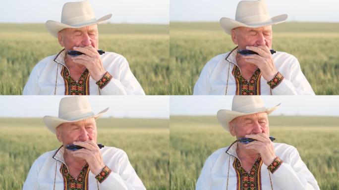 一个乌克兰农民独自在麦田里演奏口琴。与自然和谐