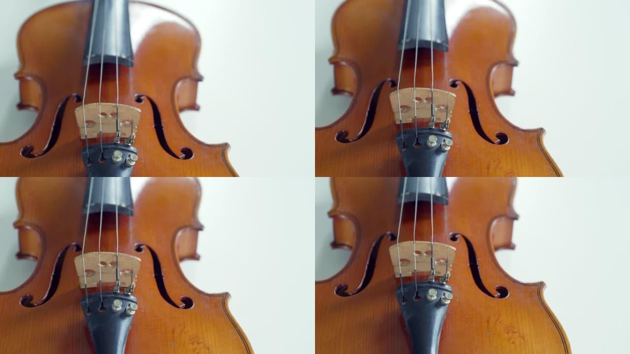 白色背景上的小提琴