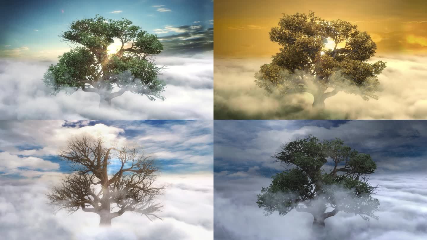 日月更迭树木生长时光变迁视频素材