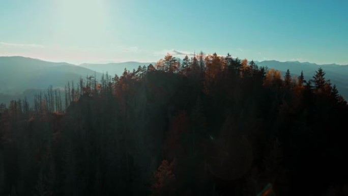 空中壮丽的喀尔巴阡山脉上的针叶林和美丽的蓝天背景。野生原始乌克兰自然之美。和平