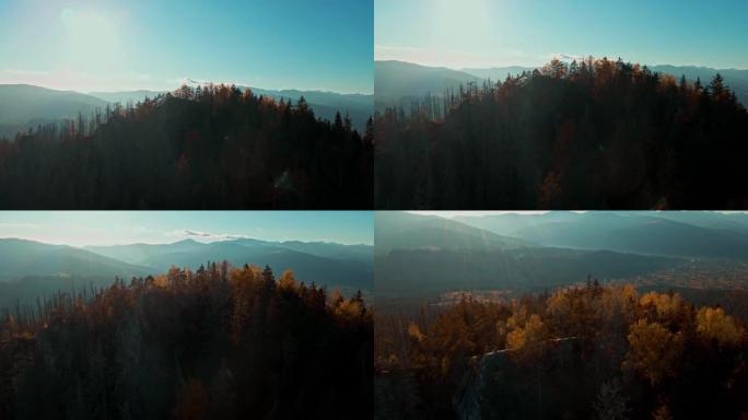 空中壮丽的喀尔巴阡山脉上的针叶林和美丽的蓝天背景。野生原始乌克兰自然之美。和平