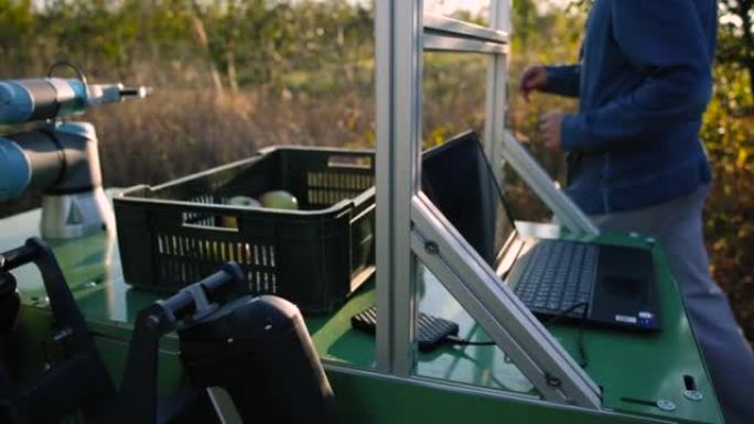 果园里无法识别的工程师，带有农业机器人，用于收割