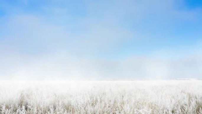 广阔的薄雾笼罩着霜冻和雪-冬日景观