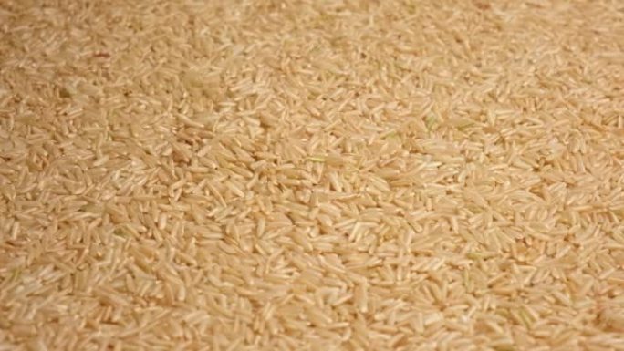 干米壁纸。长糙米旋转。特写。谷物掉落倒了一堆。世界危机，出口，进口。收获问题，制裁。价格上涨和粮食供
