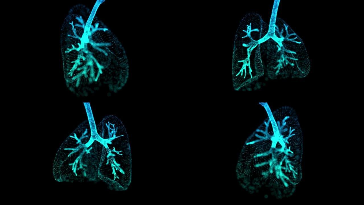 旋转360度全息图的人的肺。人肺模型的发光蓝光粒子点。3d虚拟空间中的无缝循环运动动画神经元