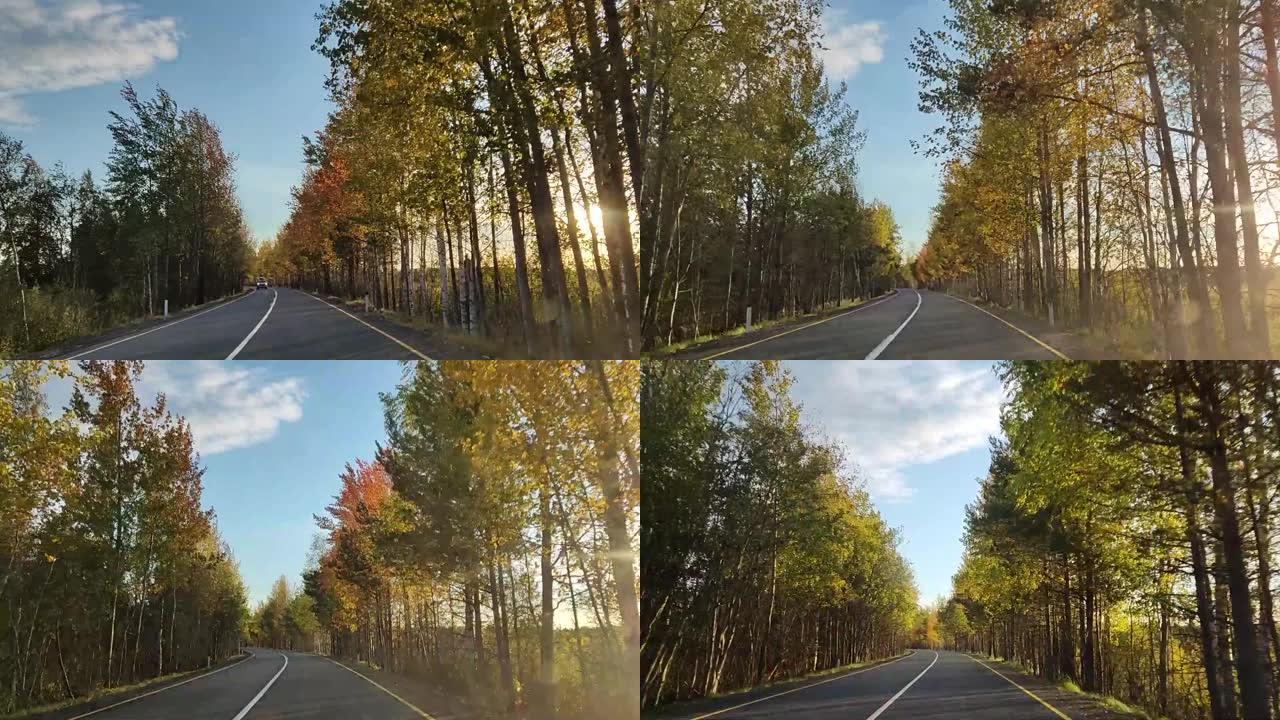 沿着森林的高速公路和迎面而来的汽车行驶。透过运动中的树木瞥见阳光。