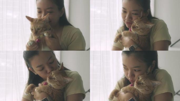 亚洲女人在新家玩虎斑猫。收养流浪猫的概念有一个爱并能照顾他们的新主人。